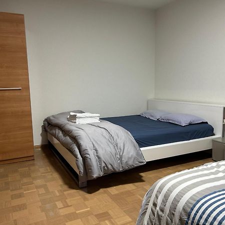 Apartement Saint Louis Train Station- Euroairport- Basel Bagian luar foto
